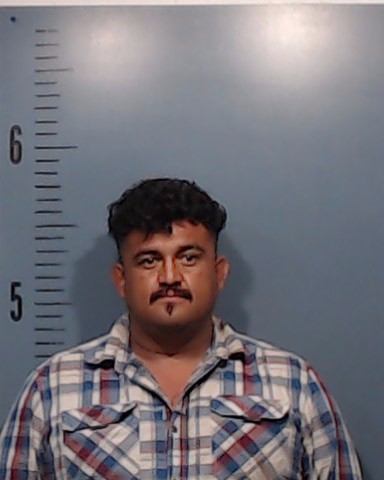 Audelo, Marco booking photo