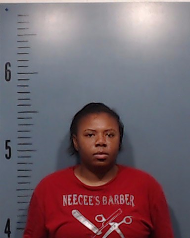 Barnes, Tairra Lashawn booking photo