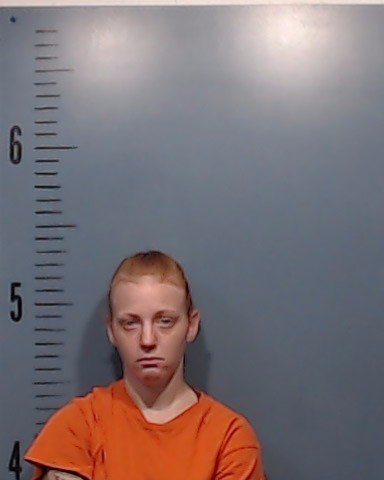 Allen, Elizabeth Anne booking photo