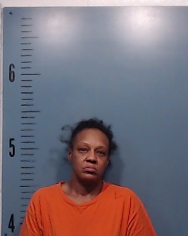 Johnson, Jennifer Denise booking photo