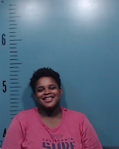 Johnson, Randi Brenae booking photo