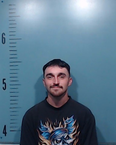 Burks, Brandon Lee booking photo