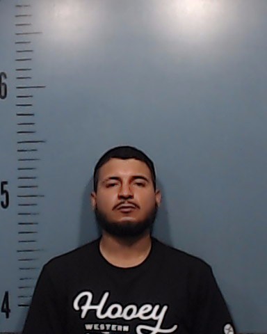Conejo Banda, Angel booking photo