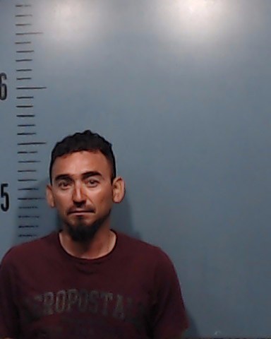 Solis-Gobellan, Alvaro booking photo