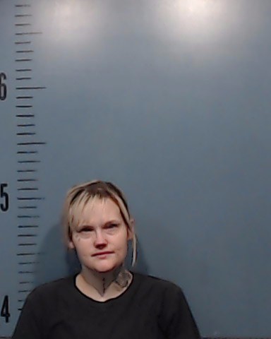 Garren, Alexis Louise booking photo