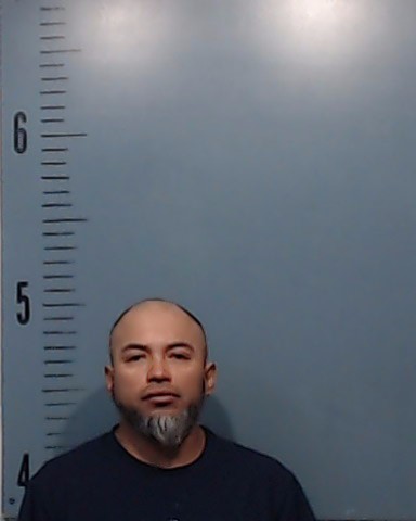 Vanegas-Ponce, Wilfredo booking photo