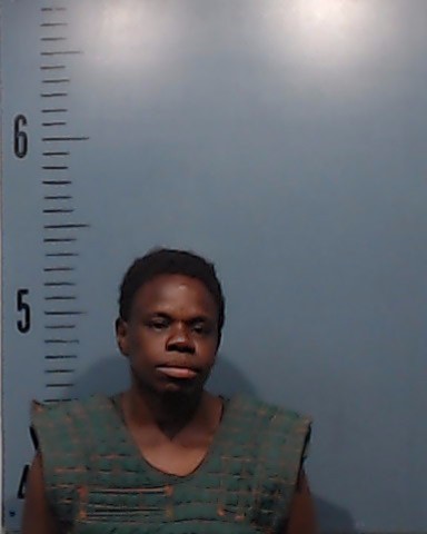 Wilson, Janelle Patrice booking photo