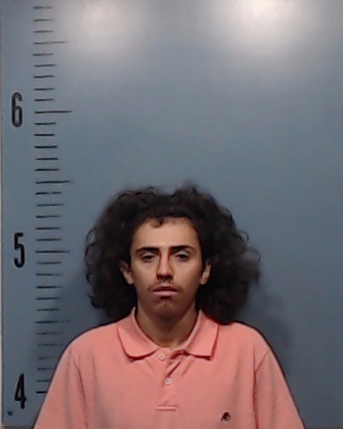 Guajardo, Jesus Ricardo, III booking photo