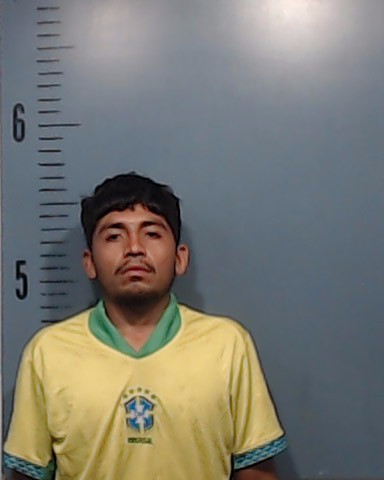 De La Roca-Montufar, Willy Fernando booking photo