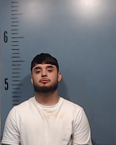 Troncoso-Galvez, Gonzalo Rodrigo booking photo