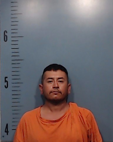 De Lucas Mayorga, Armando booking photo