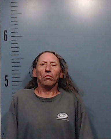 McLain, Timothy Shane arrested by Taylor County SO/PD