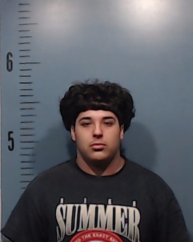 Trevino, Levi Diesel booking photo