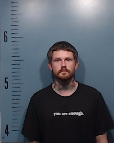 Pickwell, Aaron John booking photo