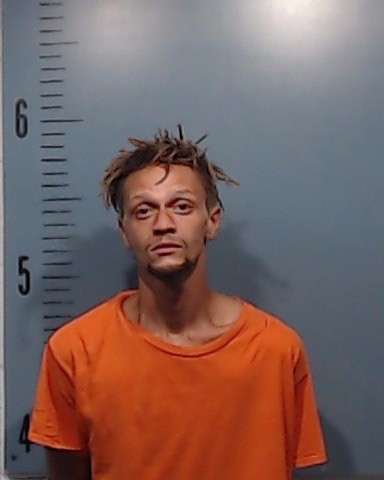 Brown, Darius Lemont booking photo