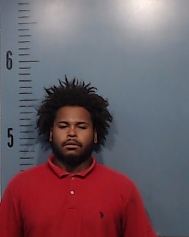 Lyons, Congetta Snow, Jr. booking photo