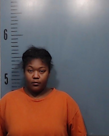 Logan, Alayasha Shelly booking photo