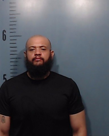 Birt, Aaron Lewis booking photo