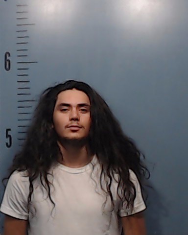Tonche, Jason David, Jr. booking photo