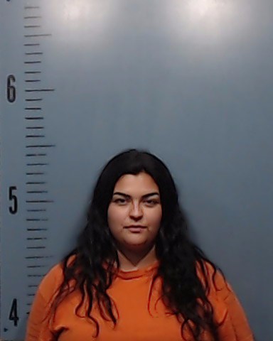 Olivas, Leslie Maria arrested by Taylor County SO/PD