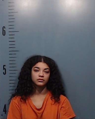 Overton, Suzanne Lynn booking photo