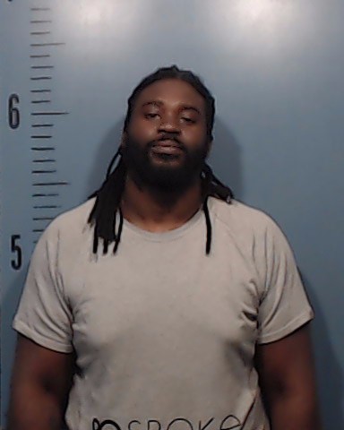 Hines, Stephon Andrew arrested by Taylor County SO/PD