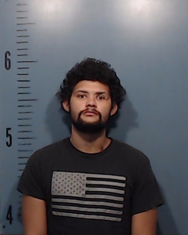 Houston, Davontea Amon booking photo