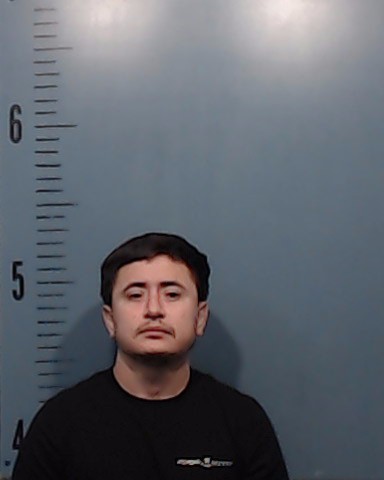 Mendez-Lucio, Enrique booking photo