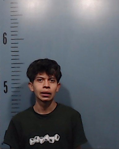Ambrosio-Dominguez, Jose Osvaldo booking photo
