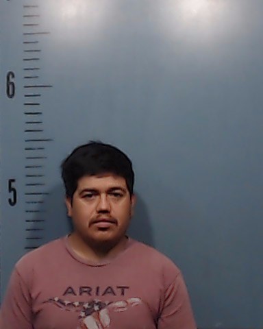 Rodriguez-Ramirez, Jorge Luis booking photo