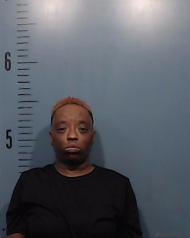 Jones, Lashanda Erica booking photo