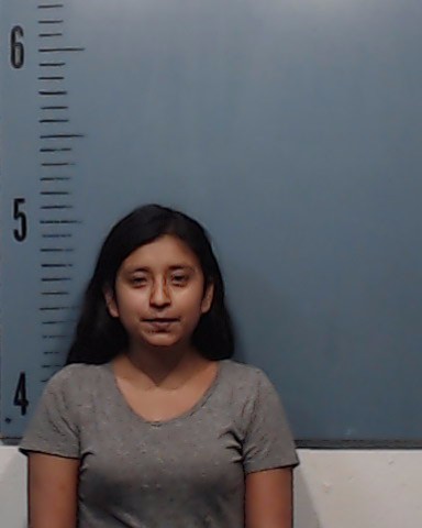 Chavez, Alba booking photo