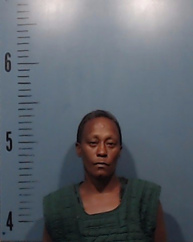 Houston, Tasha Lashay booking photo