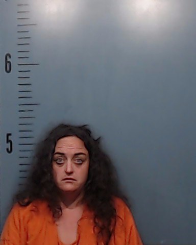 Dockins, Whitney Lavinia booking photo