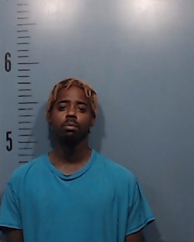 Day, William Jamar Snowden booking photo