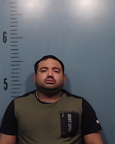 Amesty-Bravo, Kelvin Alexander booking photo