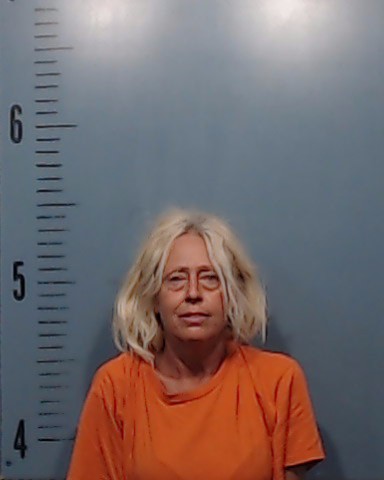 Davis, Sherry Lynn booking photo