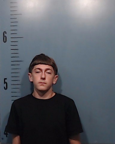 Haynes, Hayden William Harper booking photo