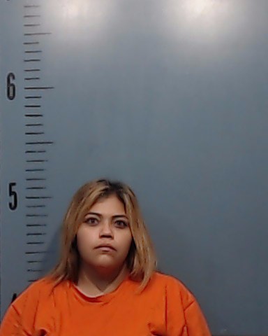Gomez, Katherine Nicole booking photo