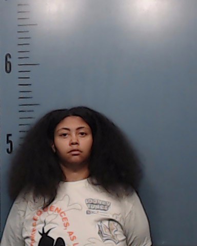 Erazo, Makayla Joyce booking photo