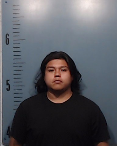 Salazar, Andres, Jr. booking photo