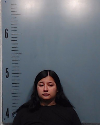 Ramos, Marissa Nicole booking photo