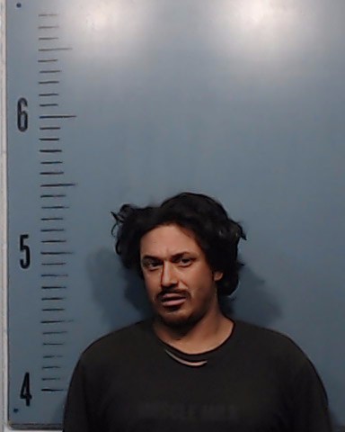 Martinez, Derek Lee booking photo