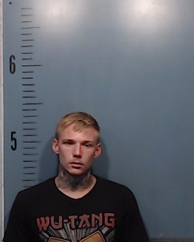 Johnson, Devon Jadon booking photo
