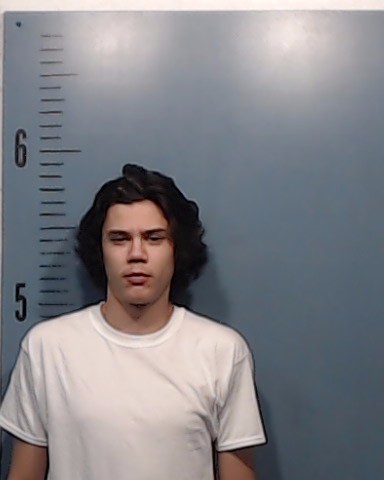 Thompson, Danny Brazos booking photo