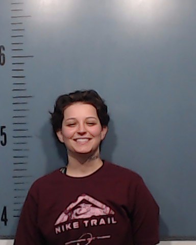 Shubert, Leslie Anne booking photo
