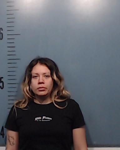 Gomez Villasenor, Daniella Ivonne booking photo