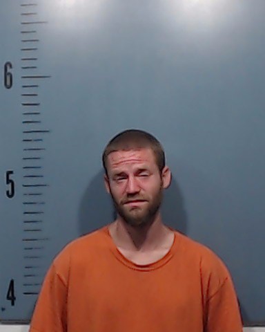 Mason, William Louis booking photo