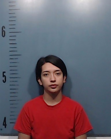 Chavira, Sabrina Nicole arrested by Taylor County SO/PD