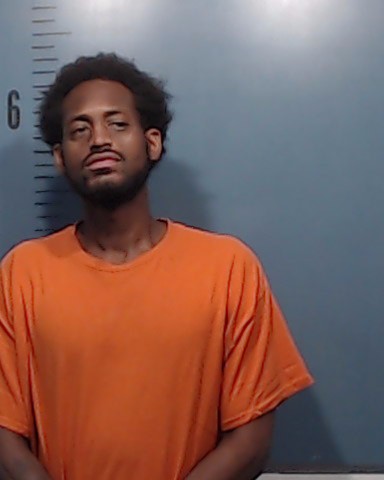Hayes, Trevon Shereef booking photo